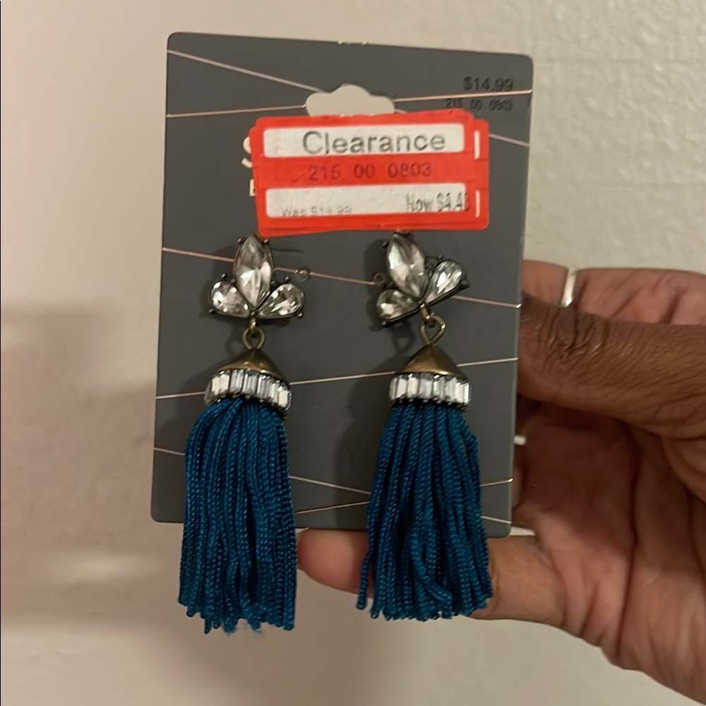 Blue Tassel Earrings